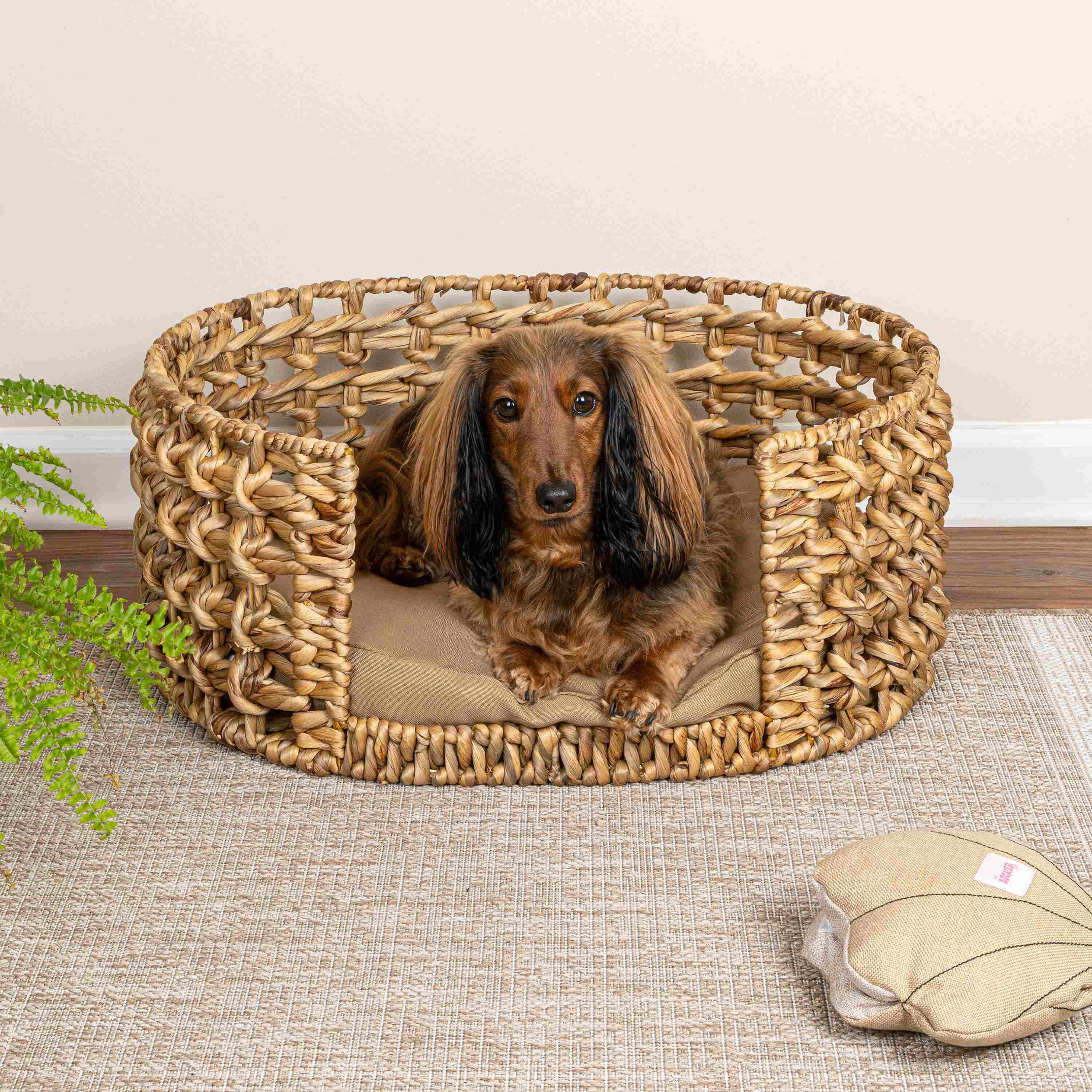 Gigi Handwoven Pet Bed with Cushion