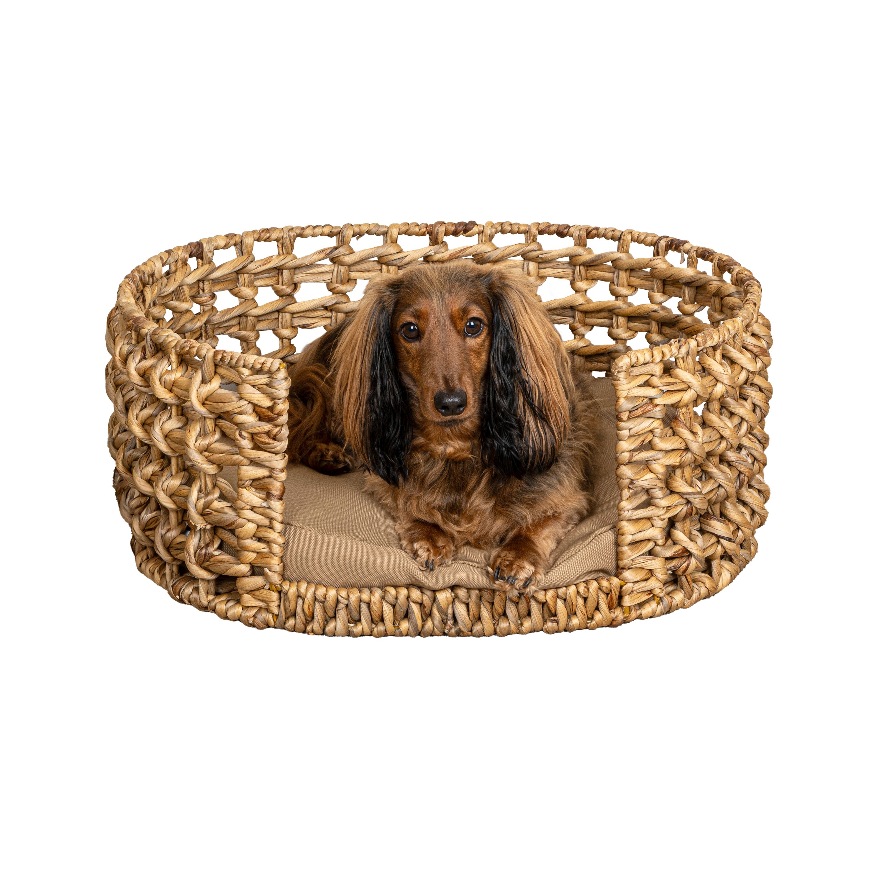 Gigi Handwoven Pet Bed with Cushion