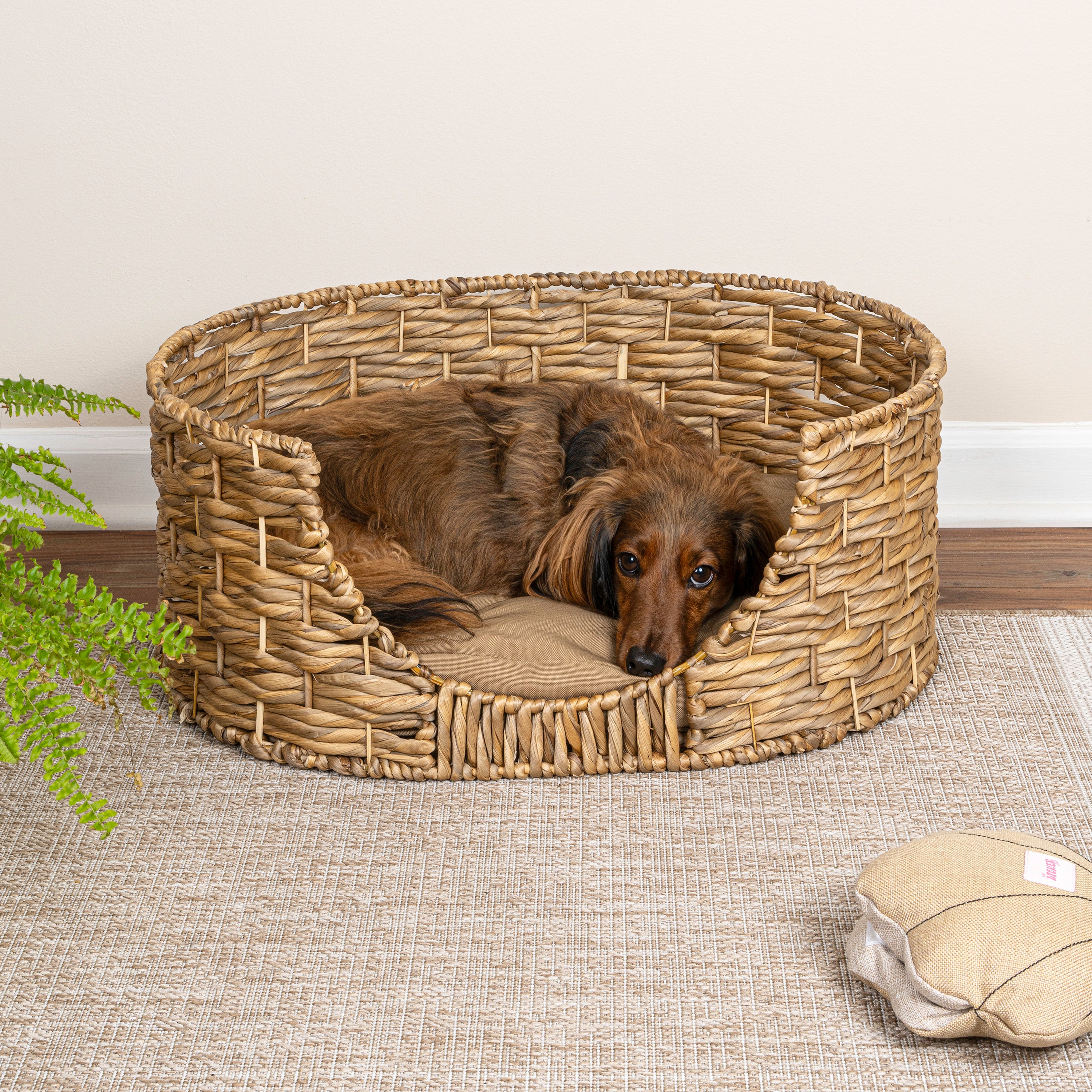 Perri Handwoven Pet Bed with Cushion