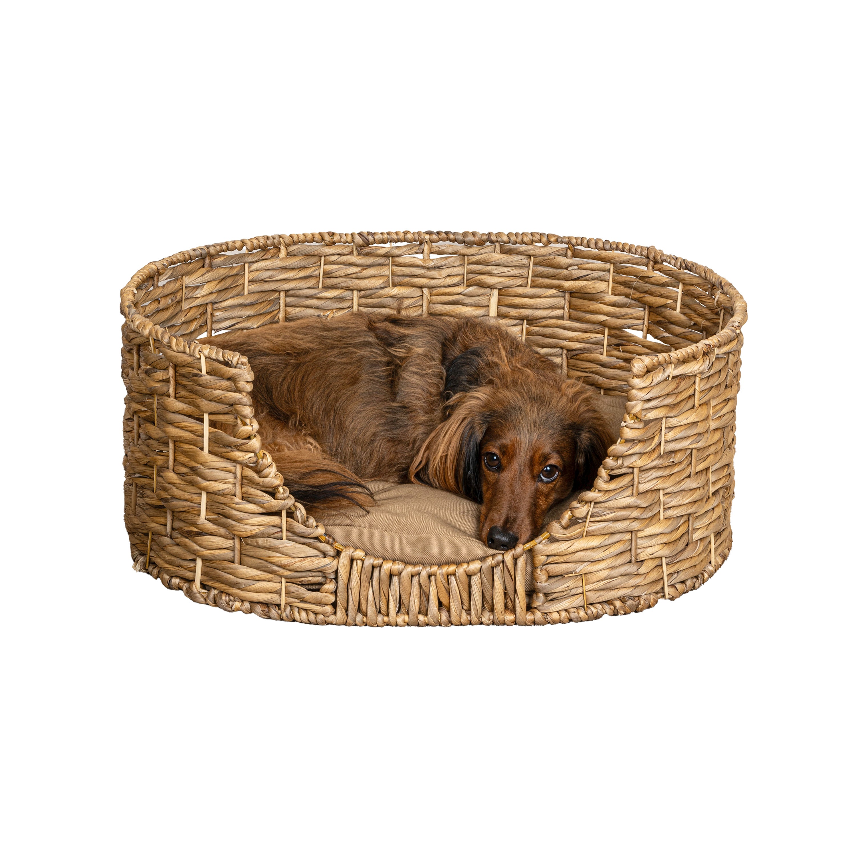 Perri Handwoven Pet Bed with Cushion
