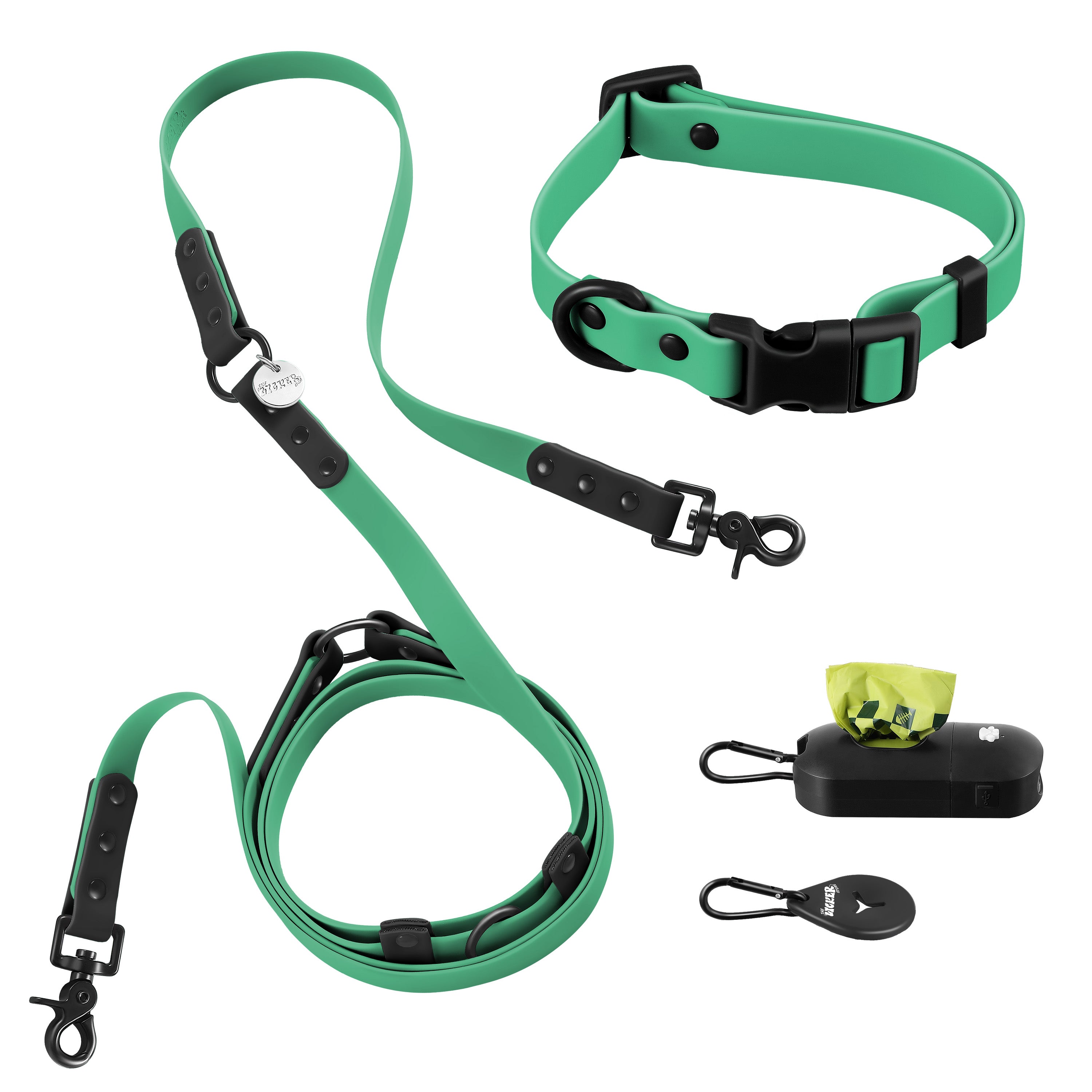 Luna Leash and Collar with Bag Dispenser and Poop Bag Holder Emerald Black Small
