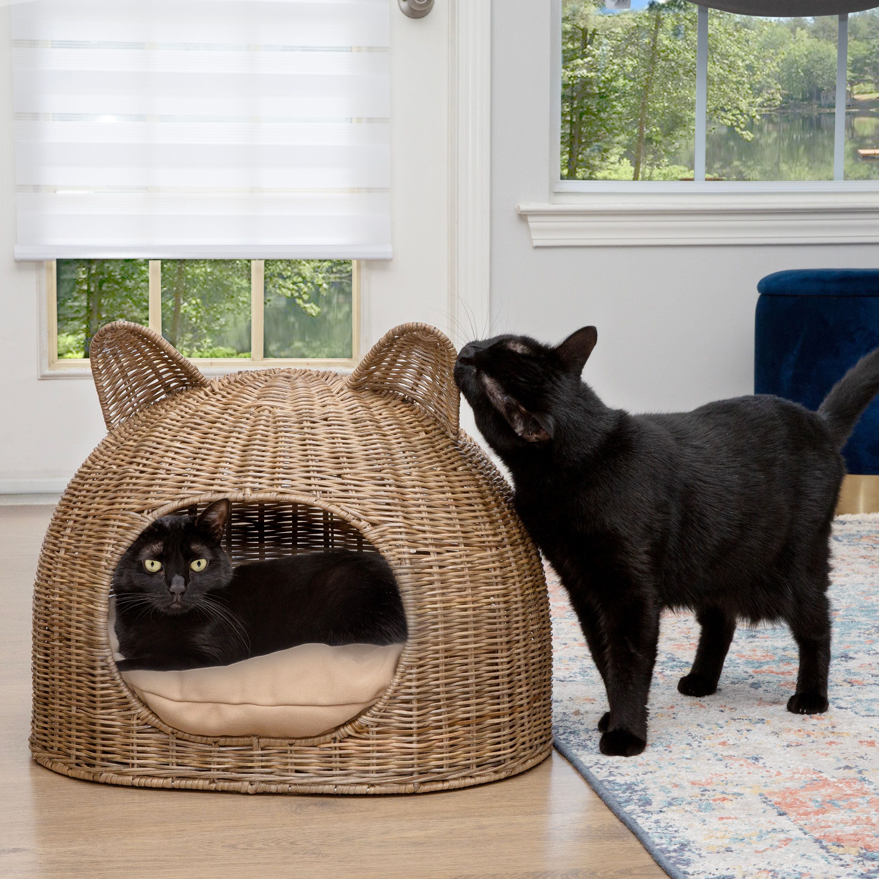 Best Sellers | Top-Rated Pet Products – The Licker Store