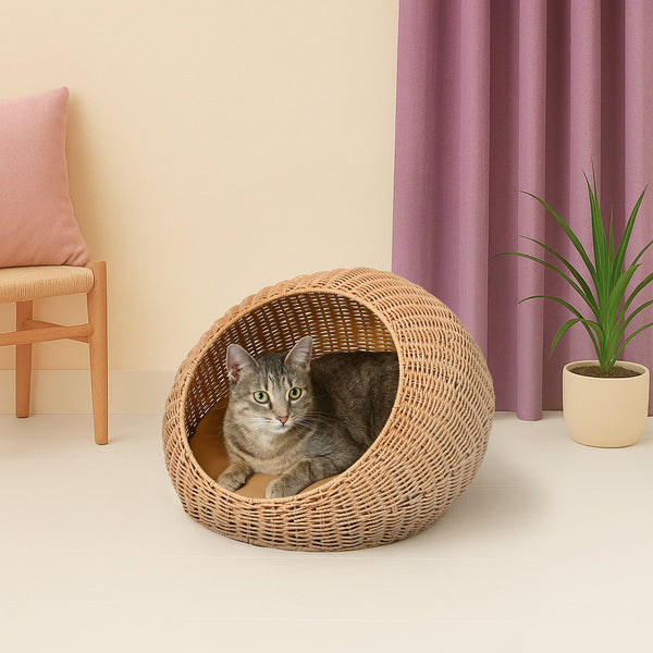 Fiora Modern Circular Faux Wicker Pet Bed with Machine-Washable Cushion