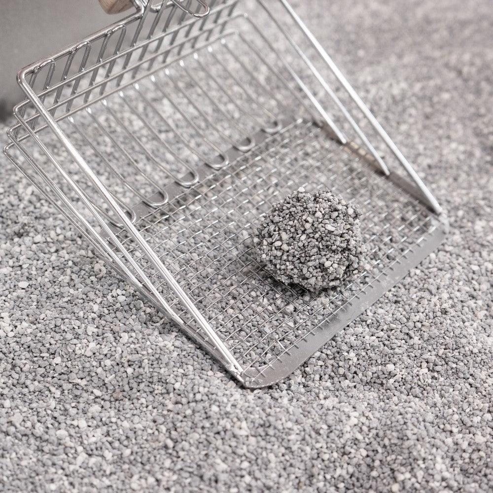 Unscented Clay Cat Litter w/Activated Charcoal