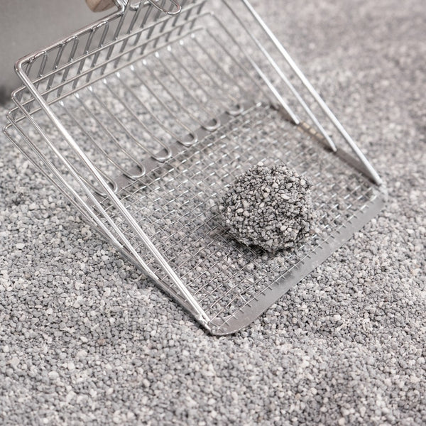 Unscented Clay Cat Litter w/Activated Charcoal