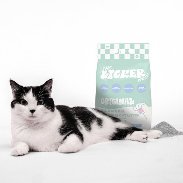 Unscented Clay Cat Litter w/Activated Charcoal