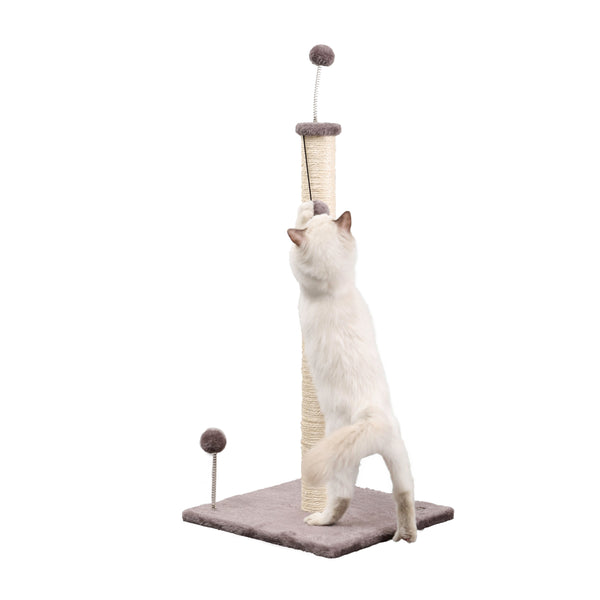 Rylie Cat Scratcher