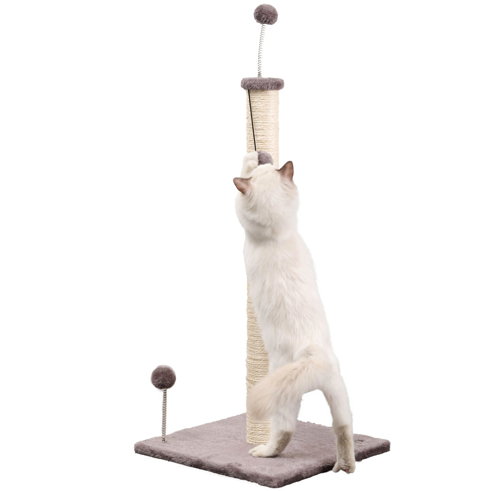 Rylie Cat Scratcher