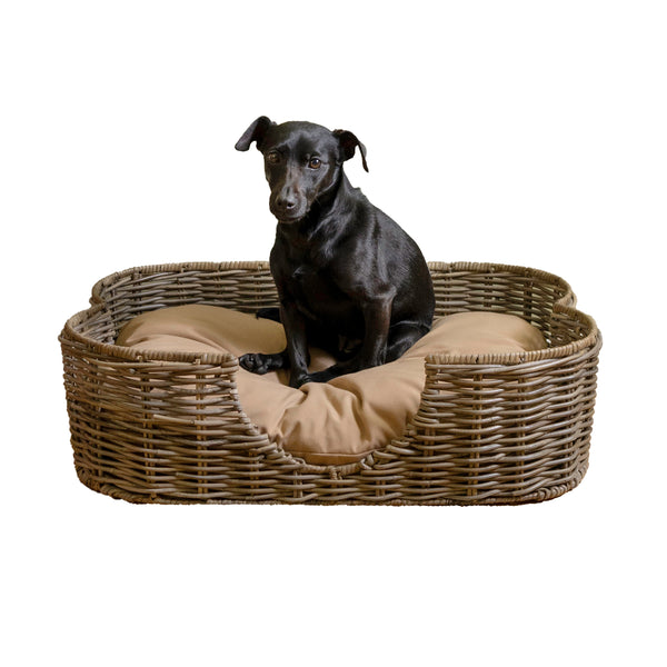 Scallop Dog Bed