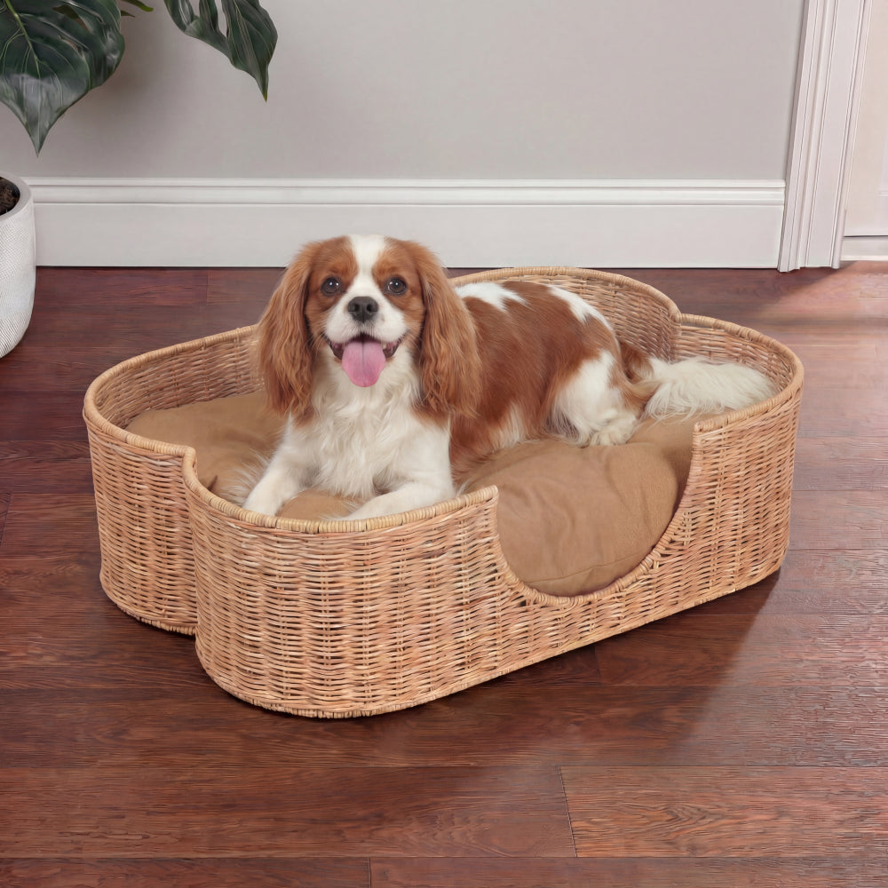 Scallop Dog Bed