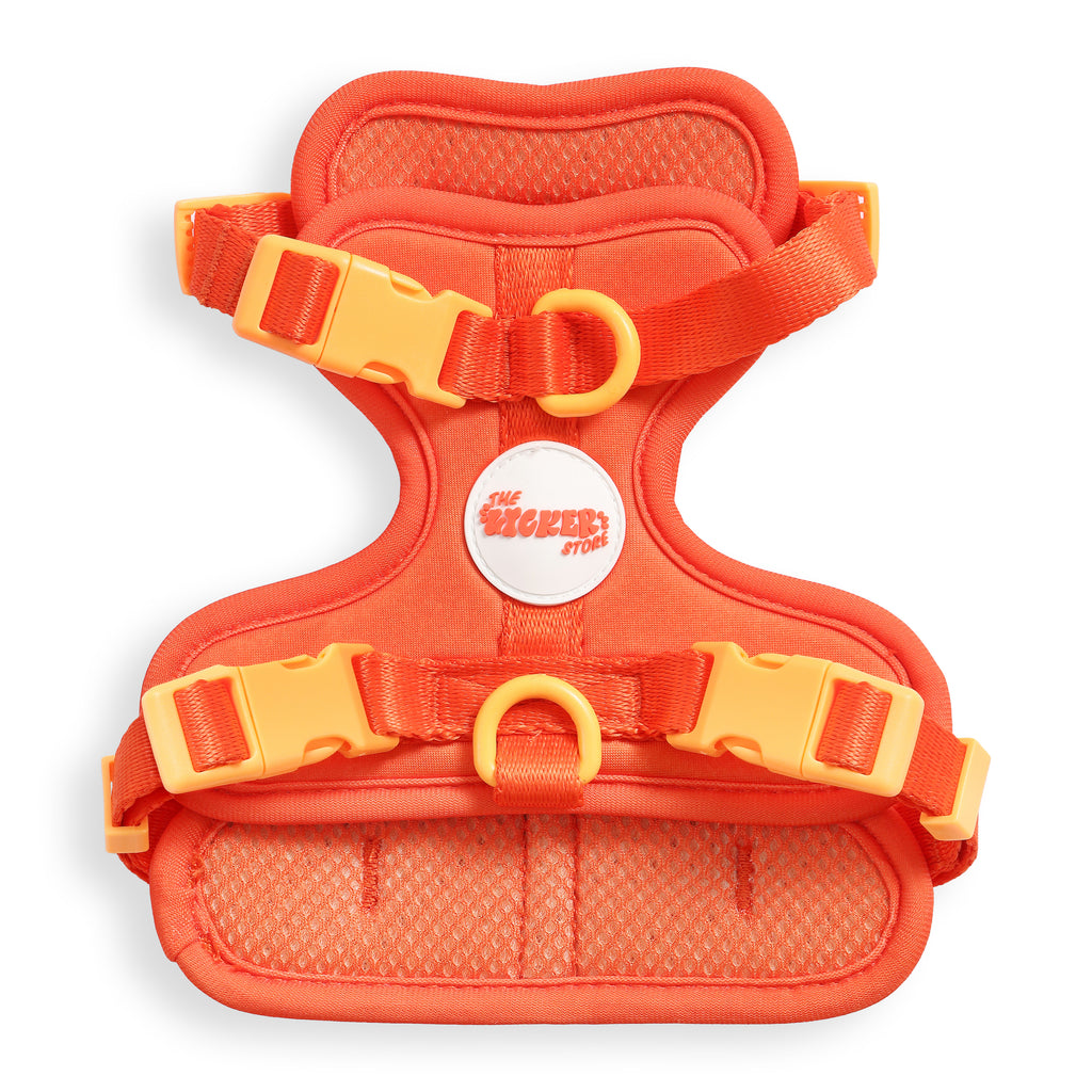 Arlo Adjustable No Pull Pet Harness