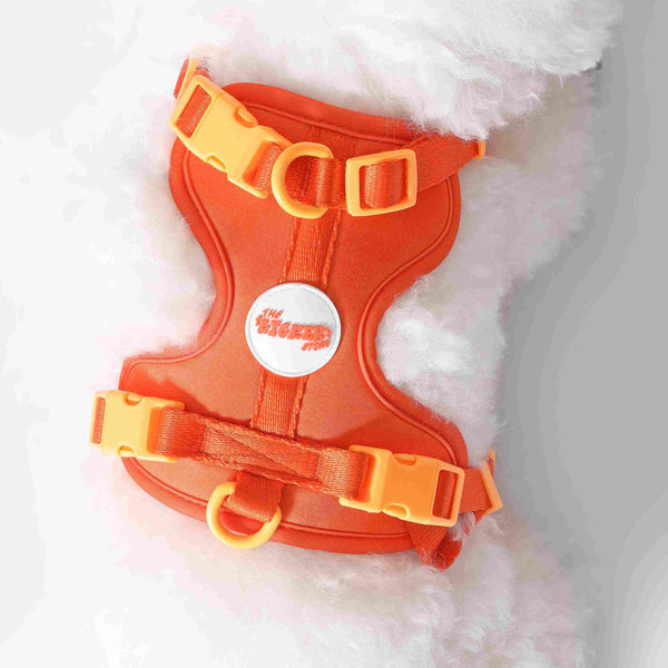 Arlo Adjustable No Pull Pet Harness Dark Orange Extra Small