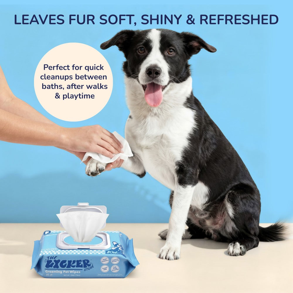 Dog Grooming & Facial Hygiene Bundle – Body Wipes (160ct), Eye Wipes (120ct), Ear Wipes (120ct) & Dental Finger Wipes (60ct)