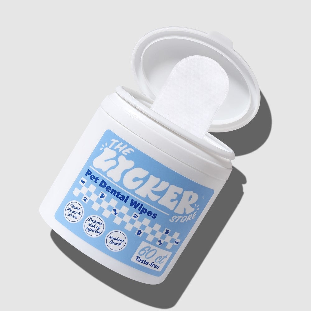 Dog Dental Finger Hypoallergenic Wipes with Mint Scent and Extracts of Aloe Vera Leaf, Coconut Oil, Honey (60 Count)