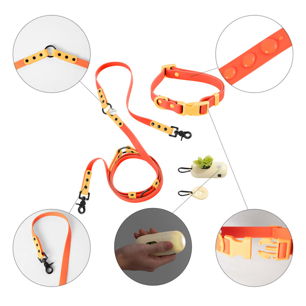 Luna Leash and Collar with Bag Dispenser and Poop Bag Holder
