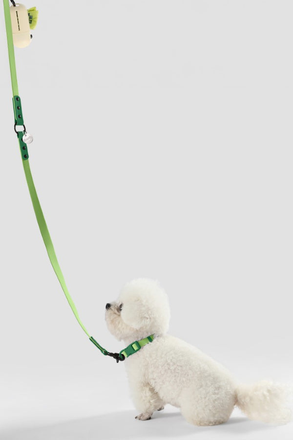 Luna Leash and Collar with Bag Dispenser and Poop Bag Holder